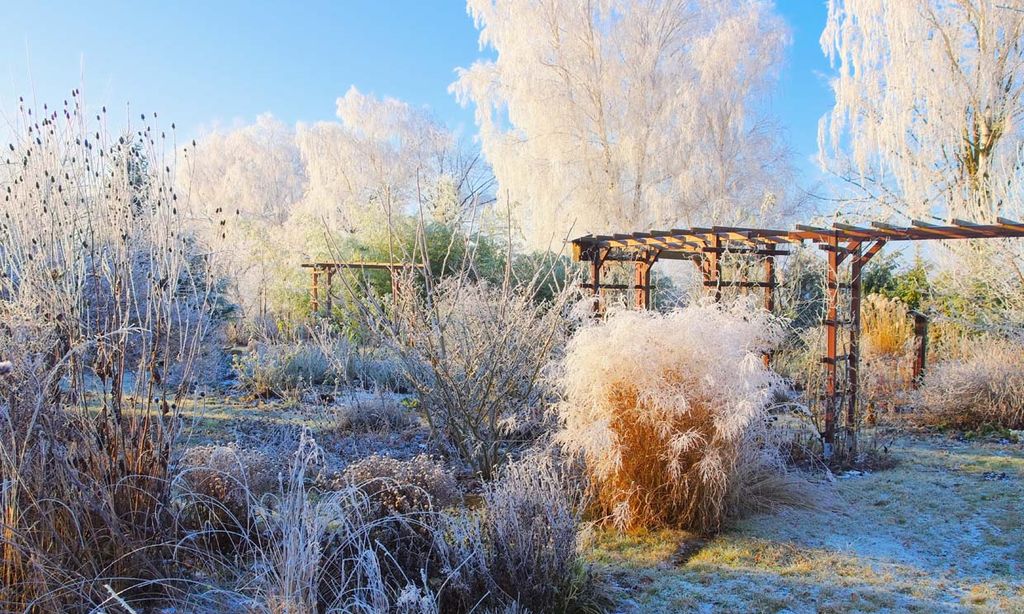 Invierno, una época ideal para planificar el diseño del jardín