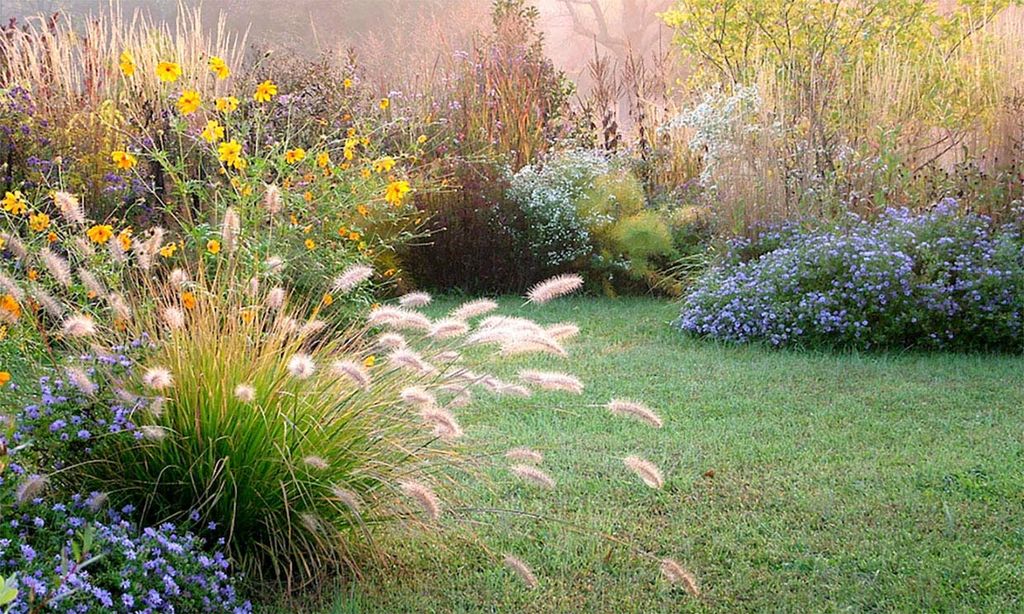 Descubre las posibilidades decorativas de las gramíneas para tu jardín