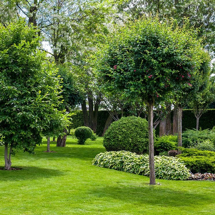 Estas son las claves para diseñar jardines verdes y originales