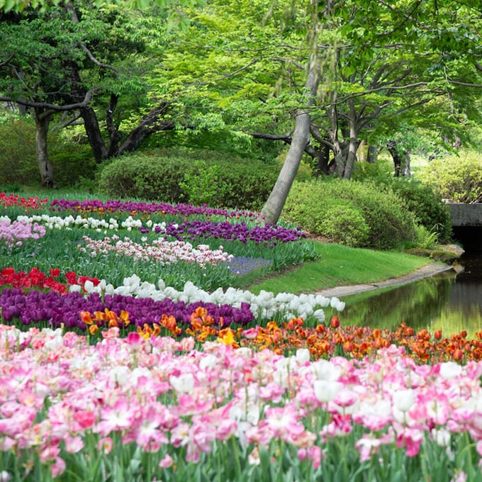 Así se diseña un jardín con flores sin aumentar el tiempo en el cuidado de las plantas