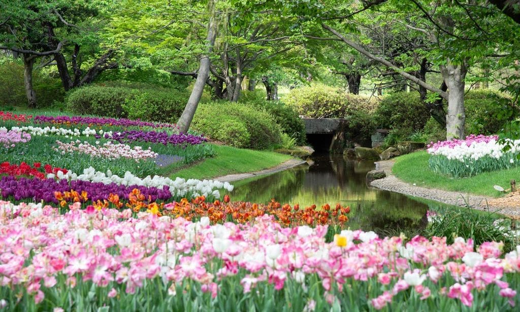 Así se diseña un jardín con flores sin aumentar el tiempo en el cuidado de las plantas