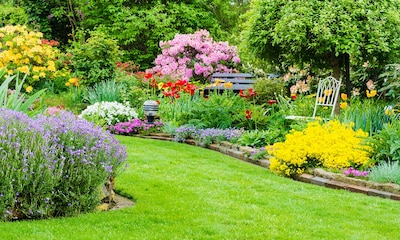 9 Plantas que resisten la sequía y darán alegría a tu jardín