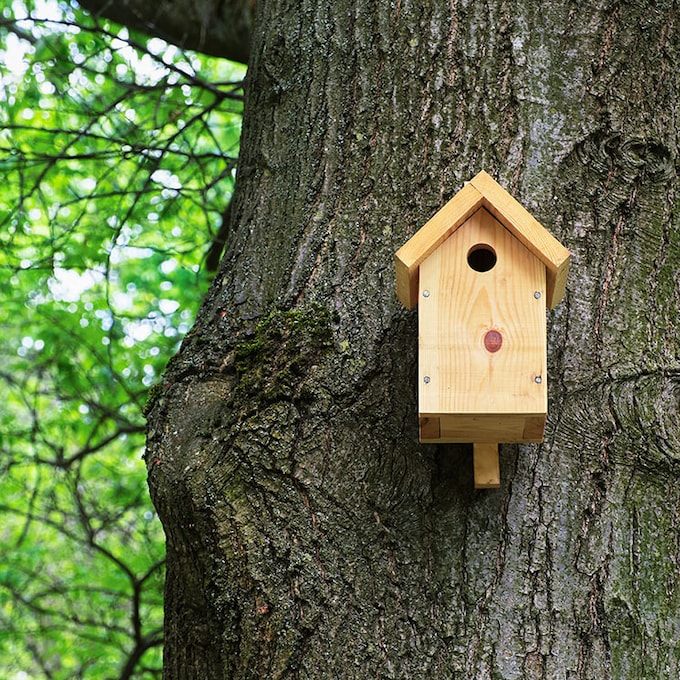 Así puedes construir un 'hotel de pájaros' para decorar tu jardín