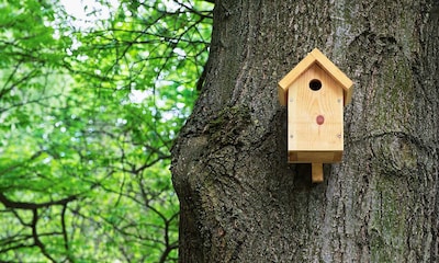 Así puedes construir un 'hotel de pájaros' para decorar tu jardín