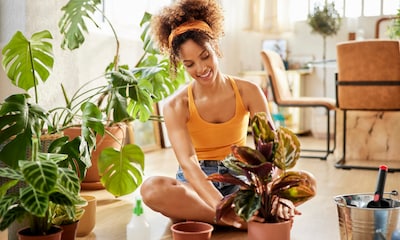 10 productos que tienes en casa y que te ayudan a cuidar tus plantas de interior