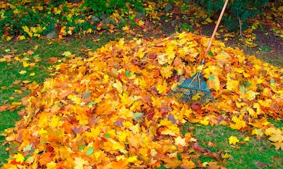 No descuides estas tareas para el jardín en otoño y disfruta de unos exteriores magníficos