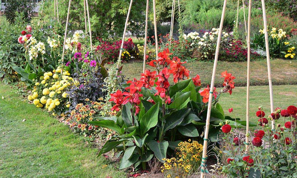 Todo lo que tienes que saber para entutorar las plantas del jardín y del huerto