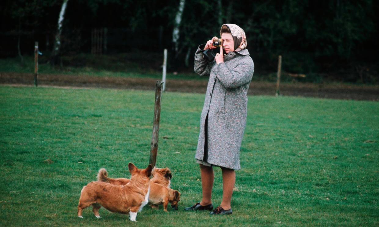  Queen Elizabeth II photographing her corgis 