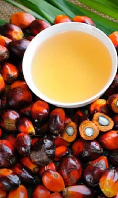 ¿Por qué es malo el aceite de palma?