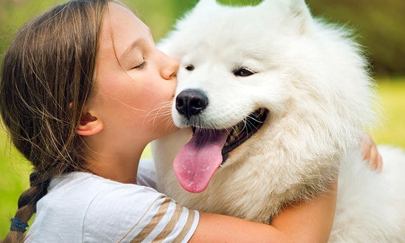 ¿Sabías que tu mejor terapeuta puede tener cuatro patas?
