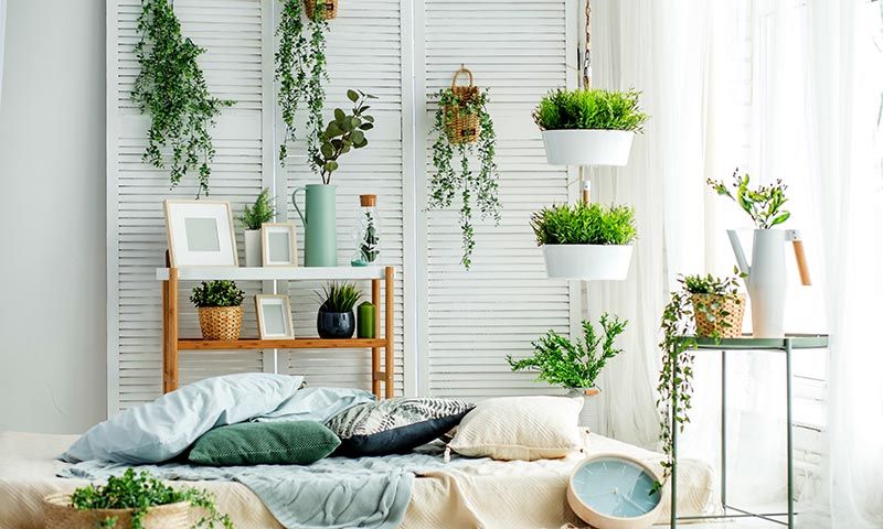 room with plants