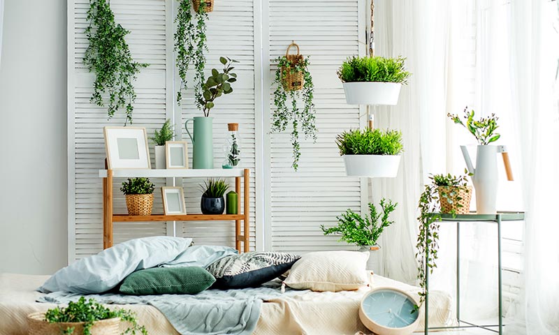 Las plantas que debes tener en tu hogar para atraer energía positiva
