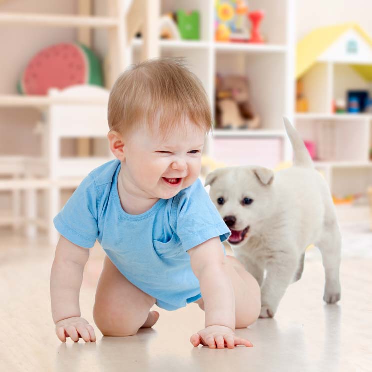 Estas 15 razas de perro son perfectas si tienes niños en casa