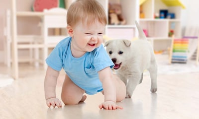 Estas 15 razas de perro son perfectas si tienes niños en casa
