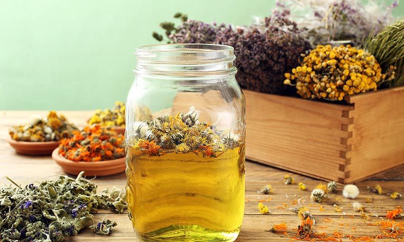 Dolor De Cabeza Plantas Medicinales Que Te Ayudaran