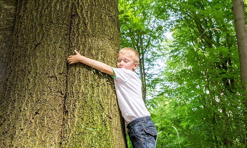 Enseña a tus hijos a cuidar el medio ambiente con estos pequeños gestos