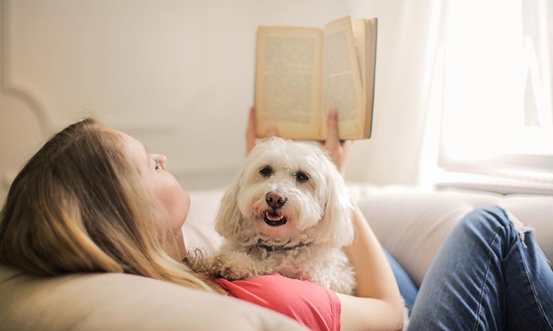 14 libros de animales que te harán llorar de emoción