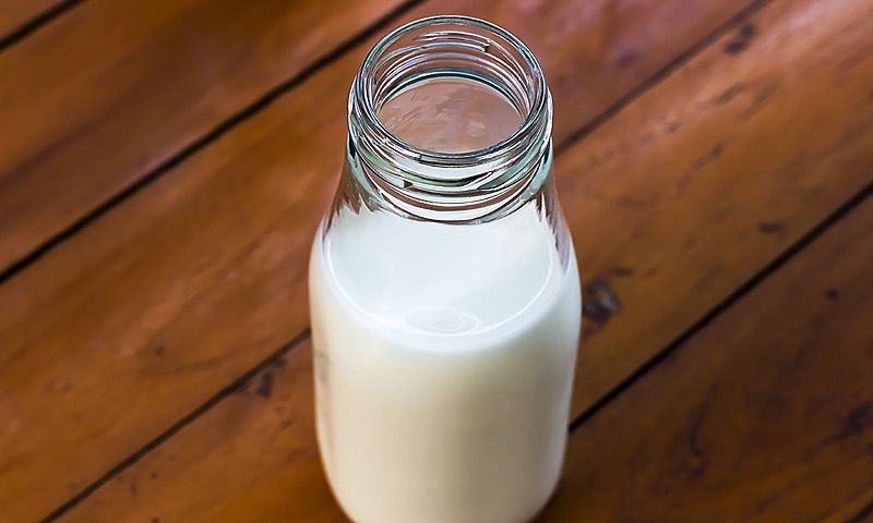 Beber leche cruda: ¿es peligroso?