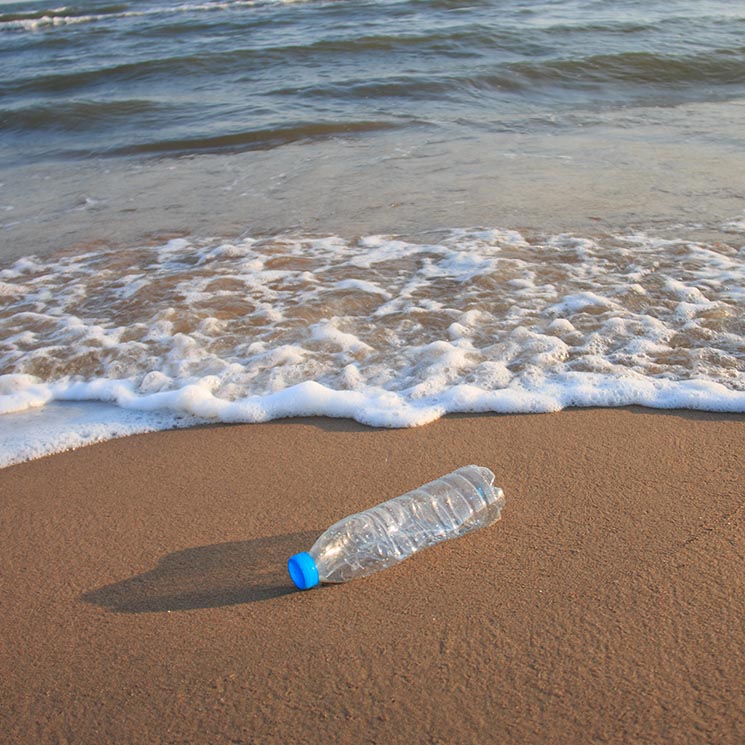 Recoge plásticos de la playa para salvar el medio ambiente 