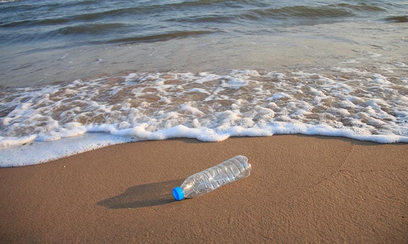 Recoge plásticos de la playa para salvar el medio ambiente 