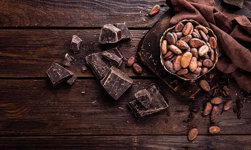 No te prives de los beneficios del cacao