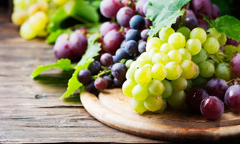 No contienen que agua alimentos
