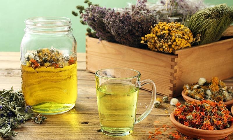 Si tienes acidez o ardor de estómago prueba con estas plantas antes de medicarte