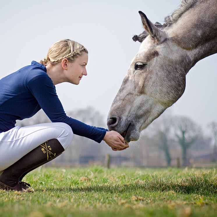 ¿Por qué el 'coaching' con caballos refuerza la autoestima?