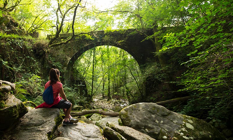 Senderismo cultural: descubre las joyas arquitectónicas y las leyendas de los bosques