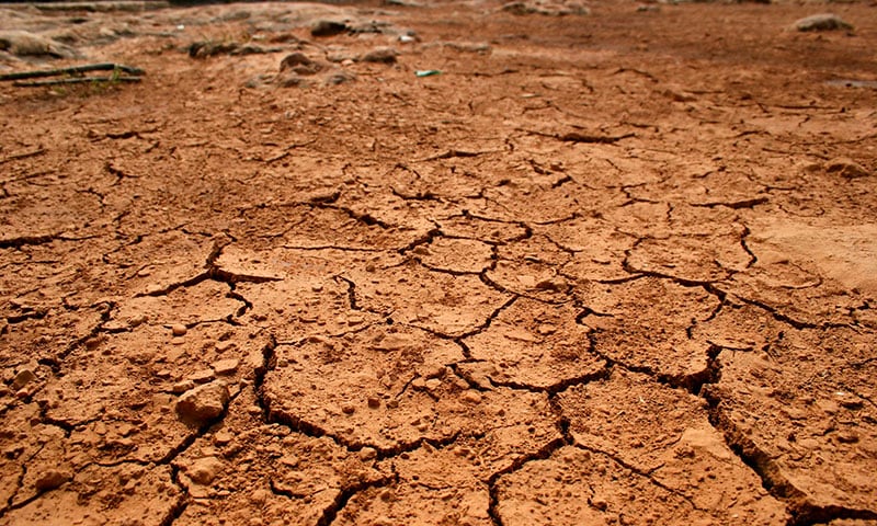 Tierra seca