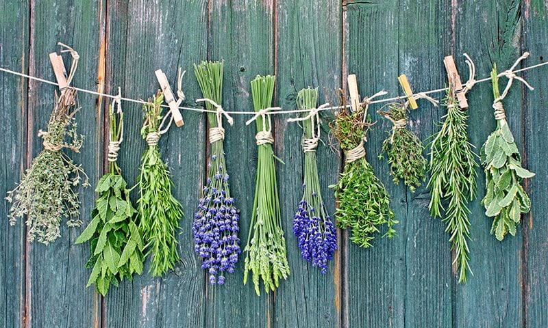 Trucos para conservar más tiempo las hierbas aromáticas