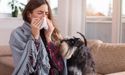 ¿Tienes alergia a los perros? Hay razas que sí puedes tener en casa