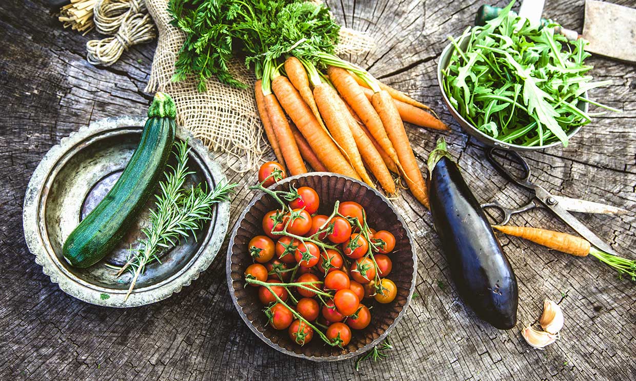 ¿Qué verduras y hortalizas debo plantar en primavera?