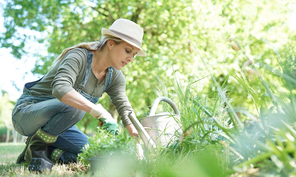 Protege tu pequeña huerta de las plagas de forma natural