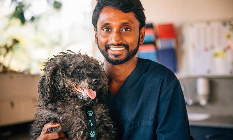 Una clínica veterinaria de Sri Lanka lucha por salvar a sus perros callejeros
