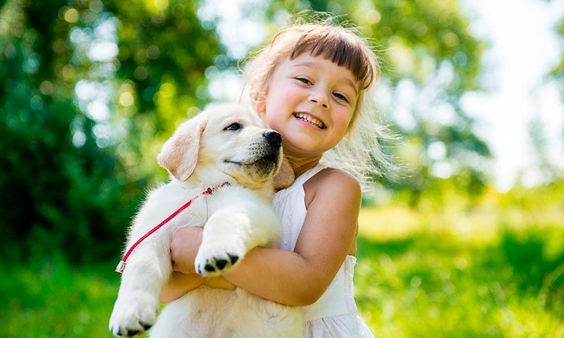 Cómo tratar la alergia a los animales