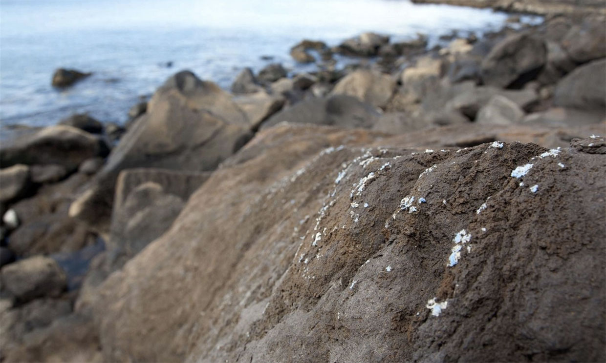 'Plasticrusts', una nueva forma de contaminación plástica