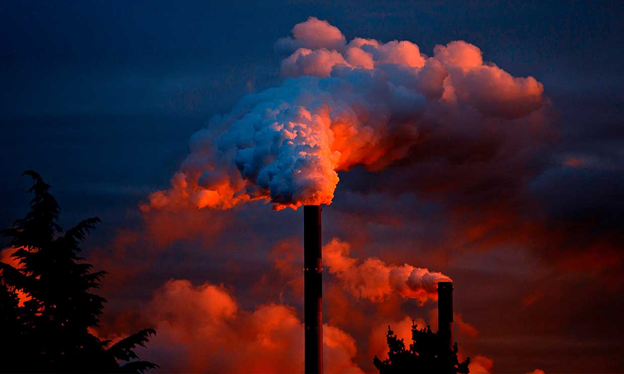 Cuatro teorías apocalípticas sobre el medio ambiente que podrían ser ciertas según la ciencia 