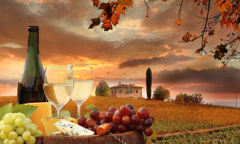 Vinos ecológicos, naturales, biodinámicos... ¿en qué se diferencian?