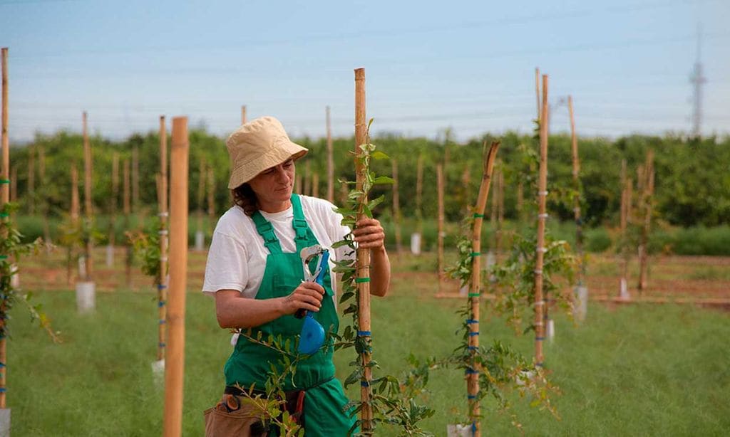 EcologicVal, un ejemplo de ecología e integración social