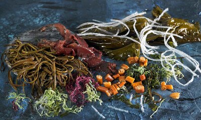 Atrévete con las algas en la cocina, las llamadas 'verduras marinas'