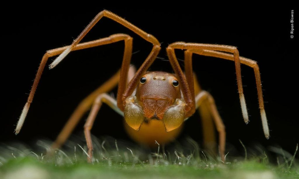 Las imágenes más impactantes que nos ha dejado la naturaleza este año