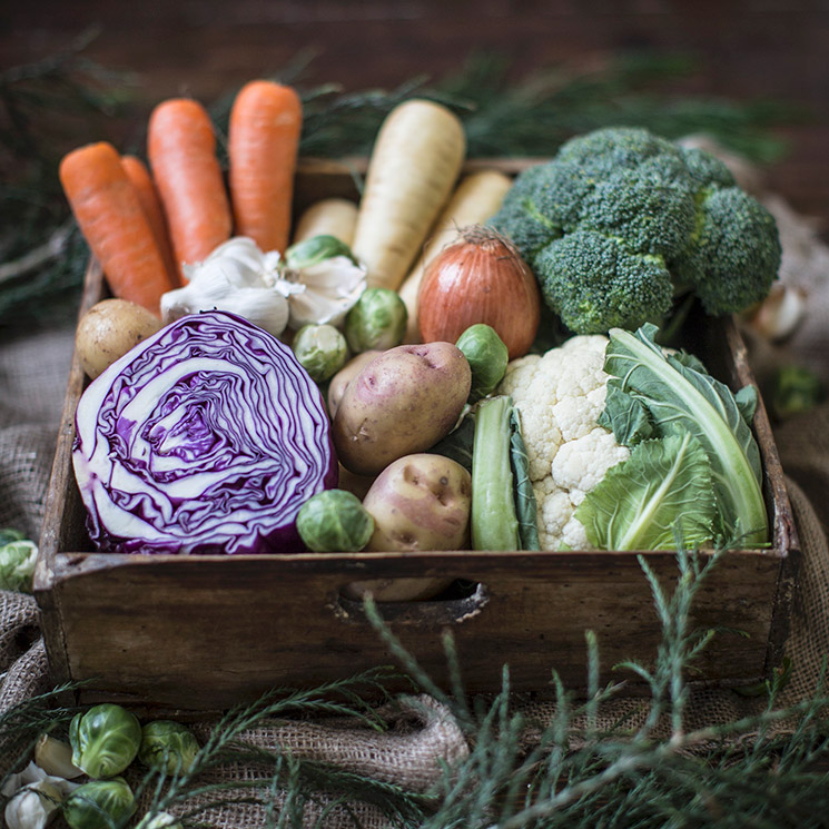 Las vitaminas y minerales que te ayudan a proteger la salud de tus ojos