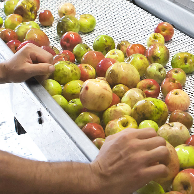 La sidra ecológica se abre camino