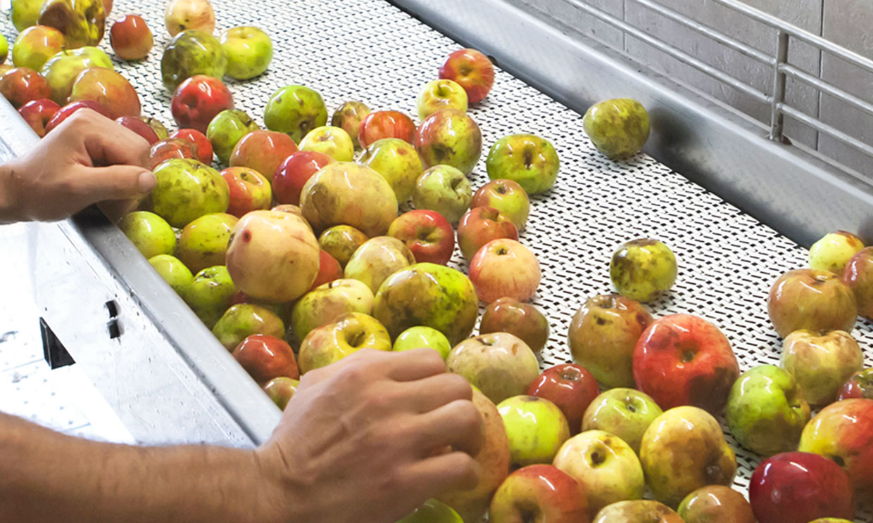 La sidra ecológica se abre camino