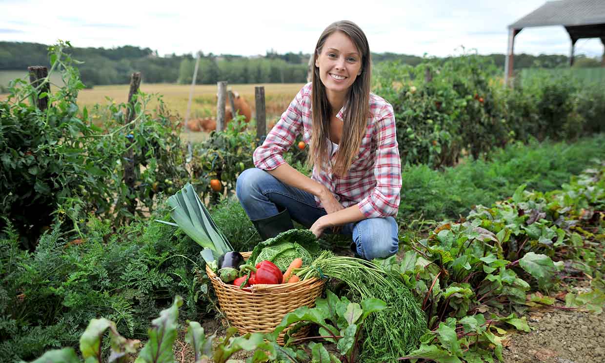 vegetales-huerto