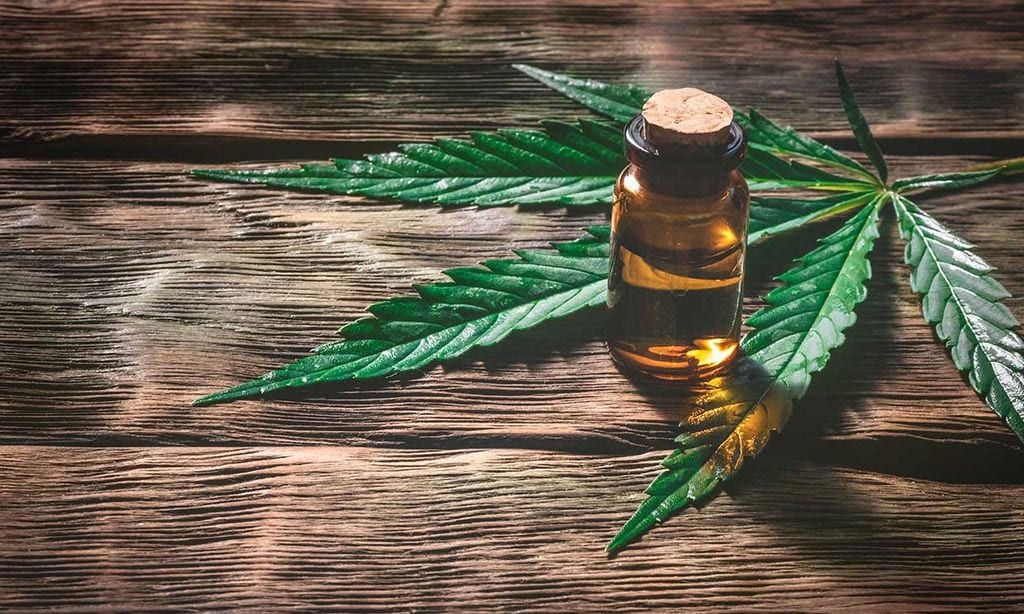 ¿Es legal el CBD? Multas por drogas 2021 3 Multas por drogas.