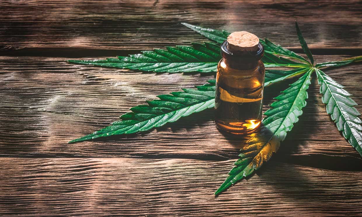 ¿Conoces el polémico aceite CBD?