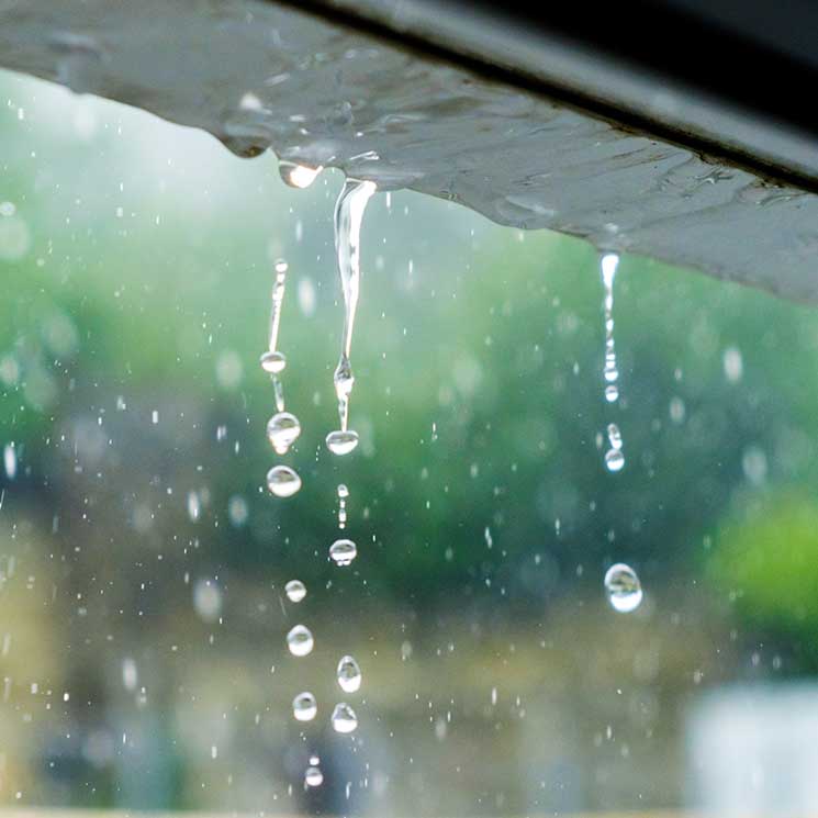 Ideas para reutilizar el agua de lluvia