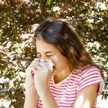 Plantas que no deberías tener en casa si sufres de alergia
